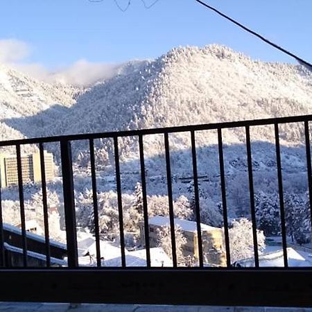 Tamara Appartamento Borjomi Esterno foto