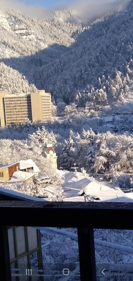 Tamara Appartamento Borjomi Esterno foto