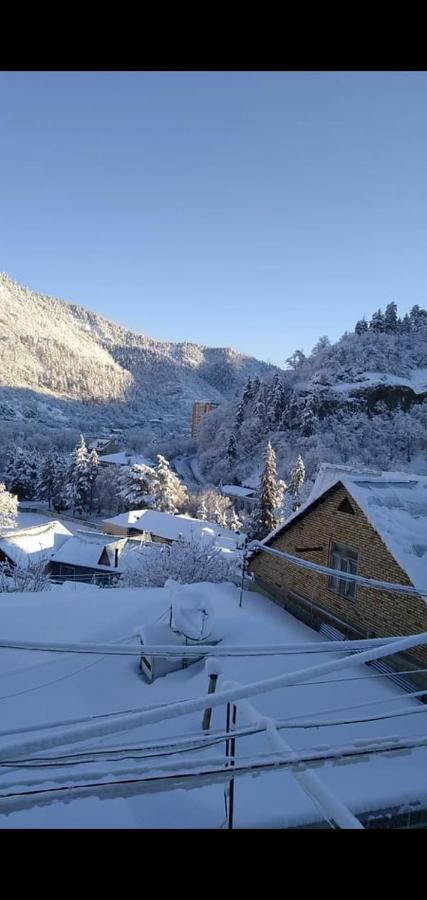 Tamara Appartamento Borjomi Esterno foto
