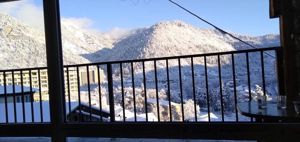 Tamara Appartamento Borjomi Esterno foto